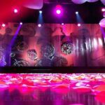 Miss São Paulo - Chuva de Pétalas de Rosas Artificiais